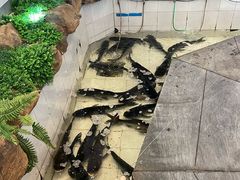 -春盛渔府(牛首山店)