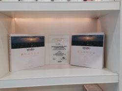 -YESIDO椰岛造型