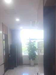 -雍禾植发