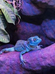 -酷嗒动物文化乐园(cutezoo西溪乐天城店)