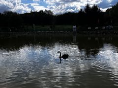 -哈尔滨北方森林动物园