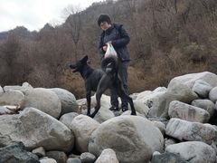 -黑河国家森林公园