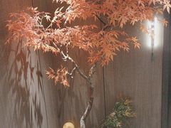 -荷塘秋月·本帮江浙菜(国权路店)