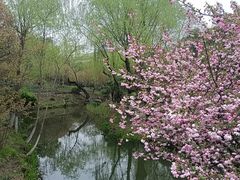 -红梅公园