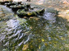 -成都市活水公园