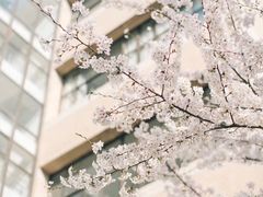 -江西科技学院