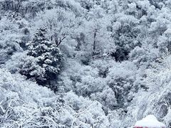 -叠溪松坪沟景区