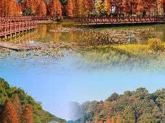 -广州市石门国家森林公园