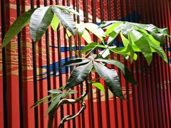 -喜湘宴·精致湖南菜(和平西桥店)