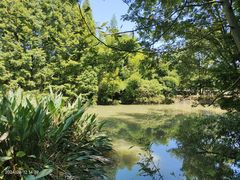 -桤木河湿地公园