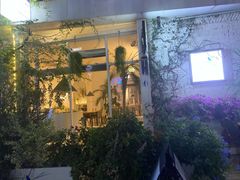 门面-春树下·树屋花房西餐厅(罍街AS1980店)