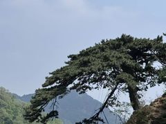 -泰山风景名胜区