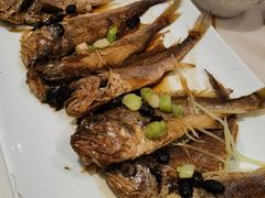 豆豉姜丝蒸小黄鱼-稻香酒家·35年老字号(侨光店)
