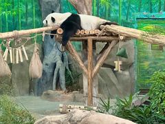 -灵玲国际马戏城