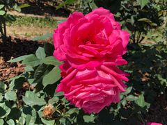 -人民公园(罗湖区)