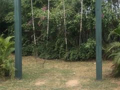 -亚龙湾国际玫瑰谷