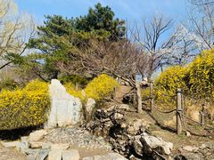 -圆明园停车场