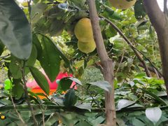 -中信五牛城酒店式公寓