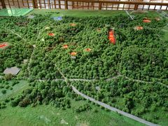-海口火山口国家地质公园