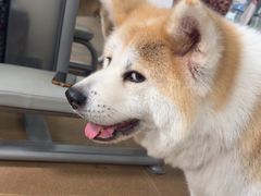 -YCHL Studios健身工作室(市二宫店)