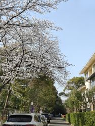 -童谣里医疗级月子中心(独栋湖景店)