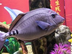 -烟台海昌鲸鲨海洋公园