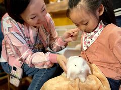 -猫猫幼稚园·撸猫·桌游·电玩