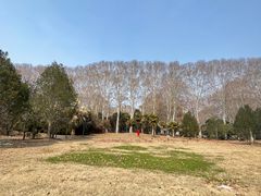 -河南省黄河迎宾馆