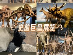 -大庆市博物馆