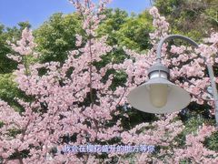 -静安雕塑公园