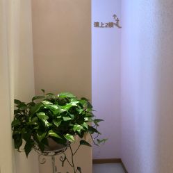 -薇兰专业脱毛连锁机构