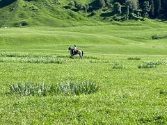 -新疆那拉提国家旅游度假区