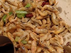 -鸽子窝(青塔店)
