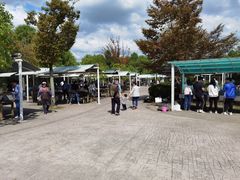 -上海海湾国家森林公园