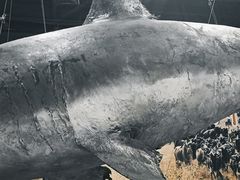 -郑州自然博物馆(惠济区)