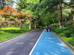 -上海吴淞炮台湾国家湿地公园