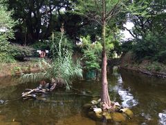 九龙公园-九龙公园