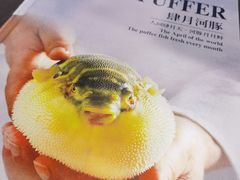 -肆月河豚·新淮扬(金融街店)