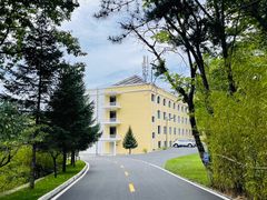 -朱雀国家森林公园