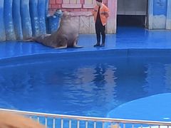 -华夏文旅海洋公园