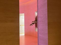 -舒小悦·舒养SPA·古法推拿(光环中心店)