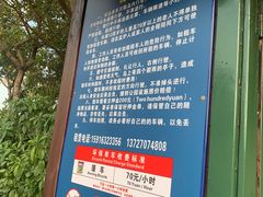 -野狸岛