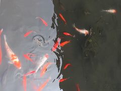 -中国湿地博物馆