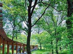 -南京老山国家森林公园