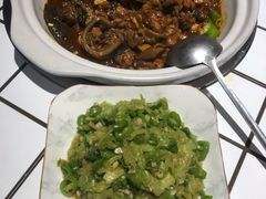 水库甲鱼-甲鱼张甲鱼铺子(观沙岭店)