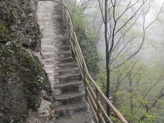 -天女山森林公园