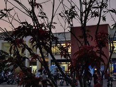 -xds喜德盛自行车(滴水湖店)