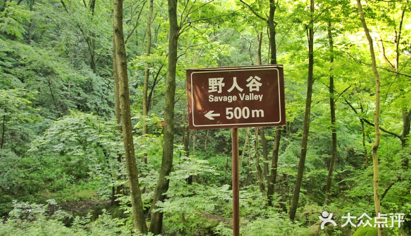 南阳隐藏着一个爱丽丝仙境，就在西峡老君洞！