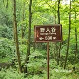 南阳隐藏着一个爱丽丝仙境，就在西峡老君洞！