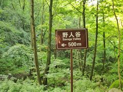 -老君洞旅游度假区
